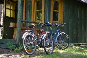 Jízda na kole v ubytování Saia Forest House nebo okolí