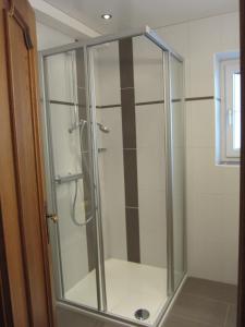 a shower with a glass door in a bathroom at Apartment Bachmann in Oberau