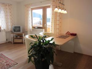 Μια τηλεόραση ή/και κέντρο ψυχαγωγίας στο Apartment Bachmann