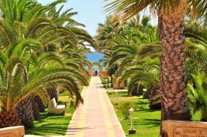 a palm tree lined pathway in a park with palm trees at Dar Khayam in Hammamet