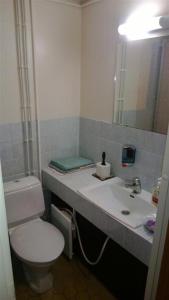 bagno con servizi igienici, lavandino e specchio di Otsolan Hovi a Humppila