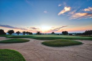 哈马马特桑提多腓尼基酒店的相册照片