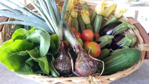 Cibo presso l'agriturismo o nelle vicinanze
