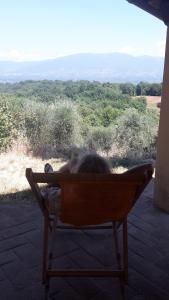 Paesaggio naturale nelle vicinanze dell'agriturismo