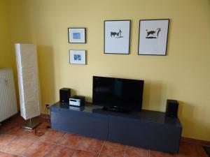 TV/Unterhaltungsangebot in der Unterkunft Villa Sanddorn