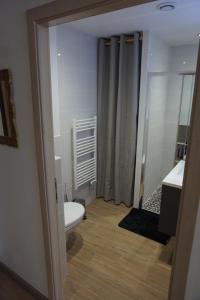 Łazienka z białą toaletą i umywalką w obiekcie Les feignes cerfdoré w mieście La Bresse