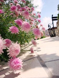 Photo de la galerie de l'établissement Apartments Olive Tree, à Hvar 33 autres photos