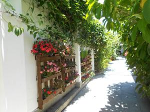 Zahrada ubytování Pousada Doce Paraty