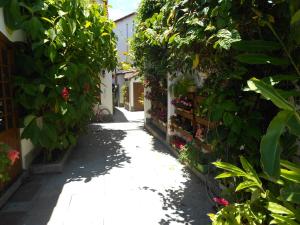 Zahrada ubytování Pousada Doce Paraty