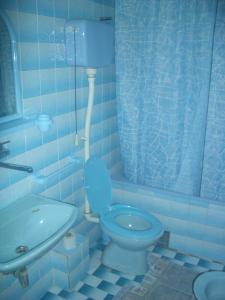 a blue bathroom with a toilet and a sink at Apartments Selena & Doroteja in Soko Banja
