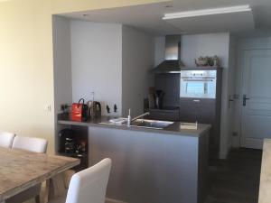 a kitchen with a sink and a stove top oven at Port rive gauche Oyat in Marseillan