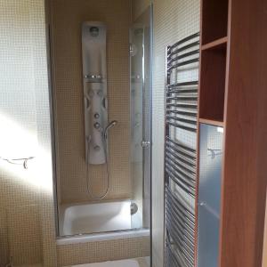 y baño con ducha y puerta de cristal. en Villa Kysucka, en Senec