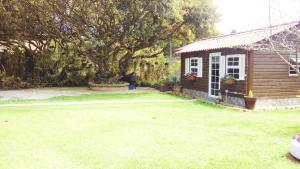 a small cabin in a yard next to a yard at Casa Carolina in San Lucas Sacatepéquez +6 photos