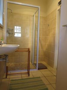 a bathroom with a shower and a sink at Dempsey's Self-Catering Guest House in Port Elizabeth