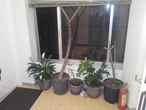 Fotografia z galérie ubytovania Jennys Apartment v destinácii Préveza