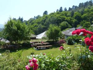 een picknicktafel in het midden van een tuin met bloemen bij Apartamentos El Valledor in Tremado