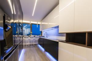 Kuchyňa alebo kuchynka v ubytovaní Luxury Apartment Kortina