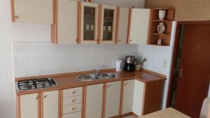Kuchyň nebo kuchyňský kout v ubytování Apartments Ante