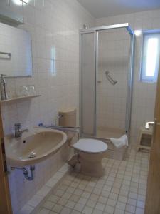 a bathroom with a toilet and a sink and a shower at Landhaus Irmgard in Braunlage +49 photos
