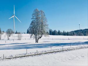 a snow covered field with a tree and a windmill at Auberge de l'Assesseur - Mont-Soleil in Saint-Imier
