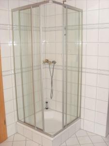 a shower with a glass enclosure in a bathroom at Ferienwohnung Kredig in Poppenhausen