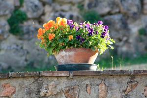 Zahrada ubytování Agriturismo Il Caggio