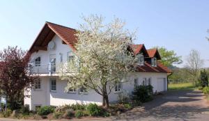 une maison blanche avec un arbre en face dans l'établissement Ferienwohnung Kredig, à Poppenhausen