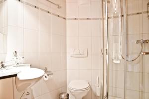 a bathroom with a shower and a toilet and a sink at Apartment St. Louis 3.5 - GriwaRent AG in Grindelwald