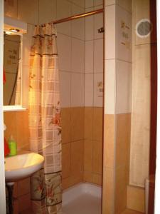y baño con ducha y puerta de cristal. en Mary-Ann Non-Stop Apartments, en Budapest