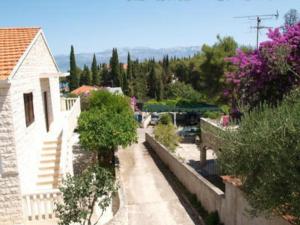 Zahrada ubytování Apartment Dada - ST