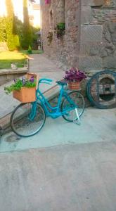 Caboalles de AbajoにあるCasa Rural Calechaの青い自転車(バスケット2つ、花1つ)