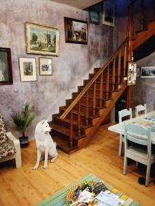 a white dog sitting in a living room with a staircase at Rooster Hostel in Veliko Tŭrnovo