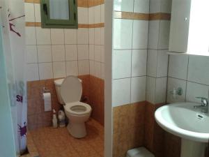 a bathroom with a toilet and a sink at Vegera Apartments in Vasilikiádhes +37 photos