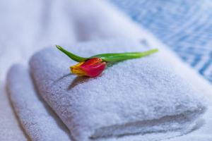 Fotografie z fotogalerie ubytování Gościniec Krutyński v destinaci Krutyń