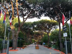 Kép Camping Dal Pino szállásáról Marina di Massában a galériában