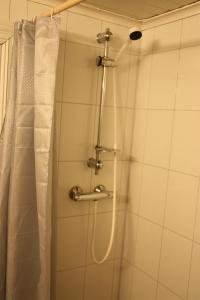 bagno con doccia e tenda doccia di Heddan Gjestegard a Tingvatn