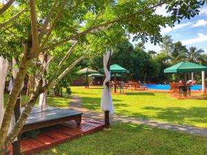 a park with a bench under a tree at Hotel Carmen in Puerto Iguazú