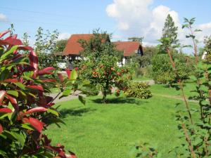 a yard with an apple tree in front of a house at Ferienhaus Scout 42 im Feriendorf Altes Land in Hollern-Twielenfleth +53 photos