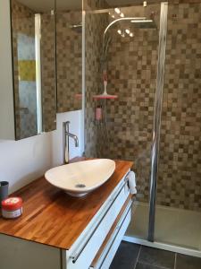 a bathroom with a sink and a shower at Alsace Maison 5p piscine Europapark Rulantica in Marckolsheim