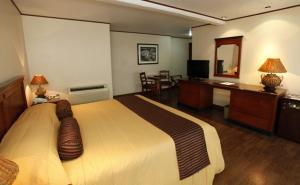 a hotel room with a large bed and a desk at Suites Colibri in Oaxaca City