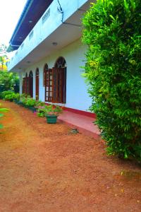 a white building with plants in front of it at Chaya Villa Guest House in Beruwala