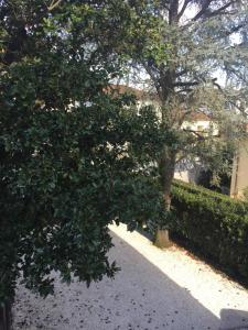 Zahrada ubytování Lucca Relais