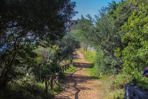 Příroda nedaleko apartmánu