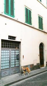 a dog on a leash standing in front of a building at Appartamento Real Taste of Tuscany Top in Florence