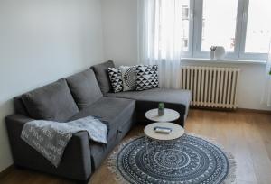 a living room with a gray couch and a table at Bardolino Apartment in Belgrade