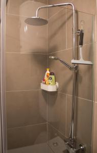 baño con ducha y puerta de cristal en Bardolino Apartment en Belgrado
