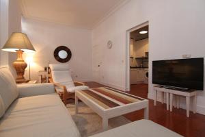 ein Wohnzimmer mit einem Sofa und einem TV in der Unterkunft Apartamentos Madrid Retiro in Madrid