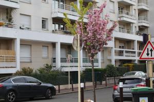 a tree with pink flowers in front of a building at Studio Meublé Proche Paris in Le Kremlin-Bicêtre