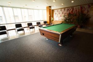 a conference room with a pool table and chairs at Hotel Bezdez Stare Splavy in Staré Splavy