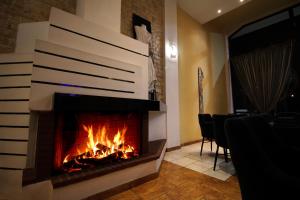 トリカラにあるHotel Lithaionのギャラリーの写真